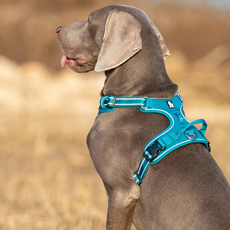 Dog Harness Nylon Webbing, 3M Reflection Adjustable Aluminum Alloy for Big Medium Small Dog