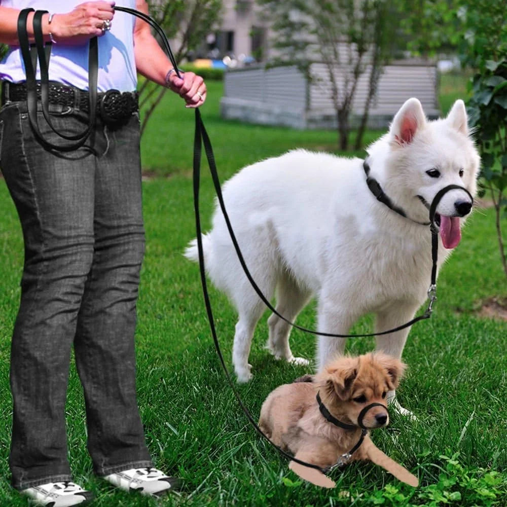 Adjustable Head Collar, Halter, Pulling Gentle Control Leash for Training Dogs