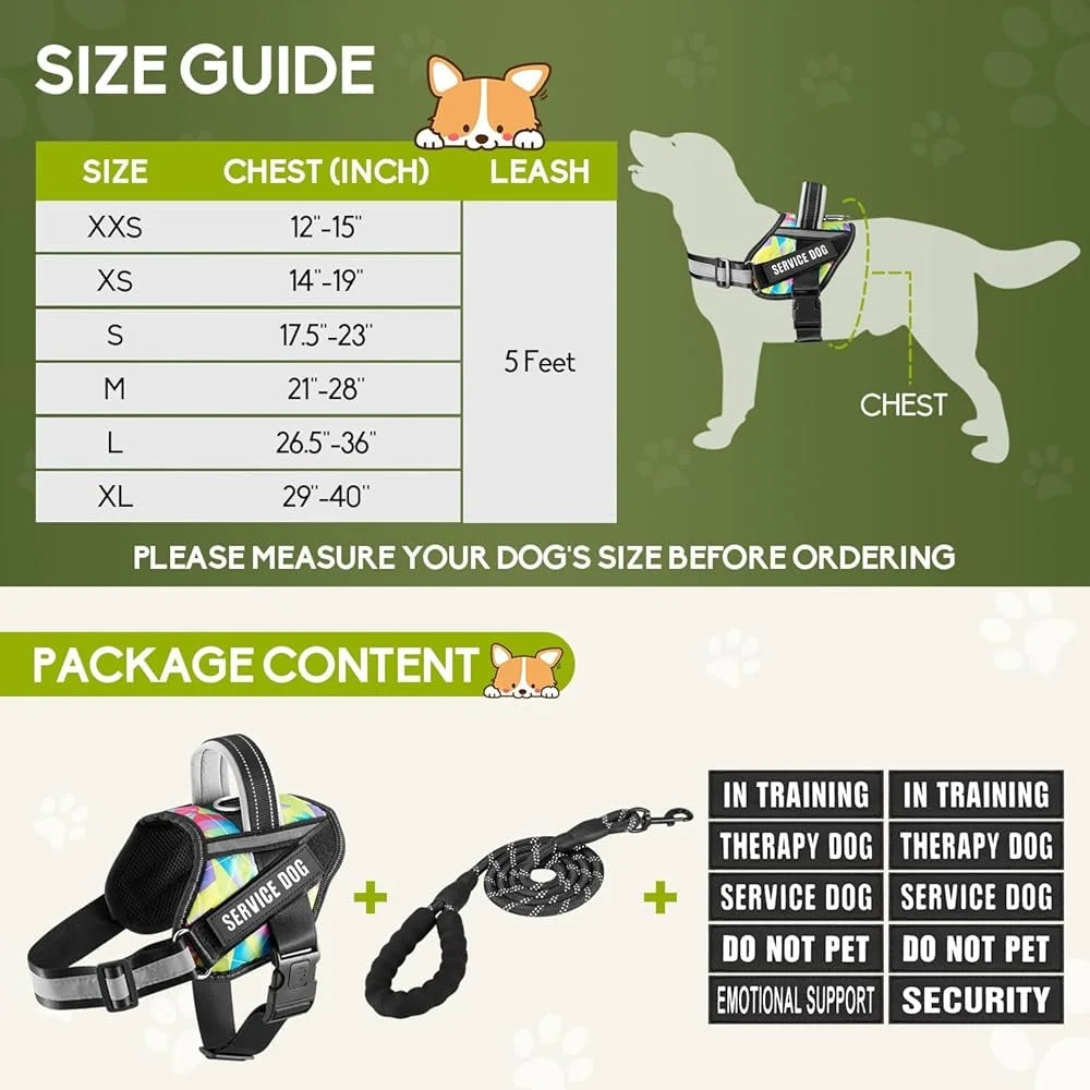 Service Dog Harness Leash Set Reflective No Pull, Training Durable Lightweight Vest