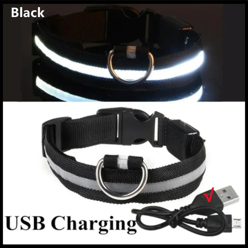 Flashing Glow In The Dark LED Dog Collar Nylon