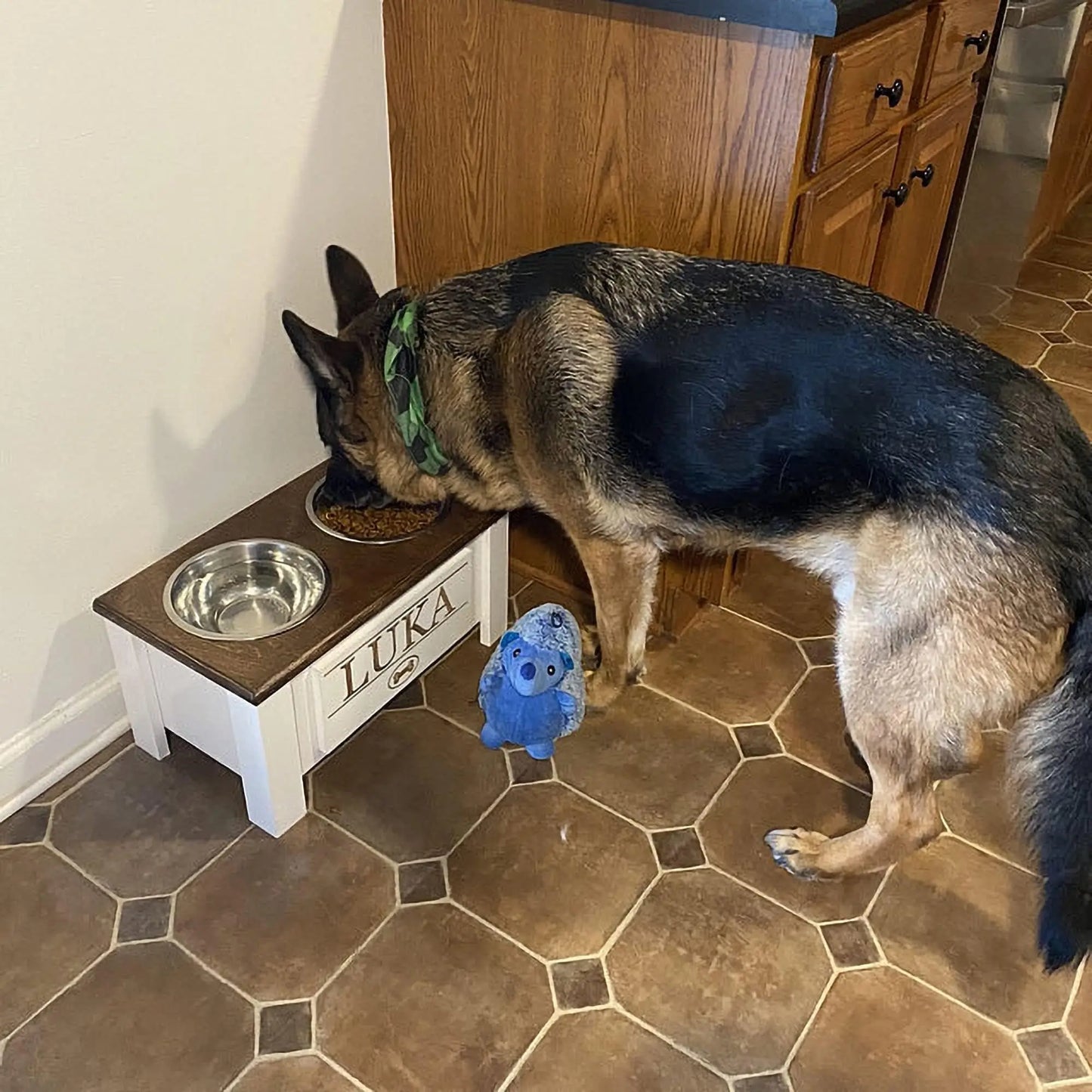 Elevated-Raised Stand Dog Bowl, Internal Storage, Double Stainless Steel Dish