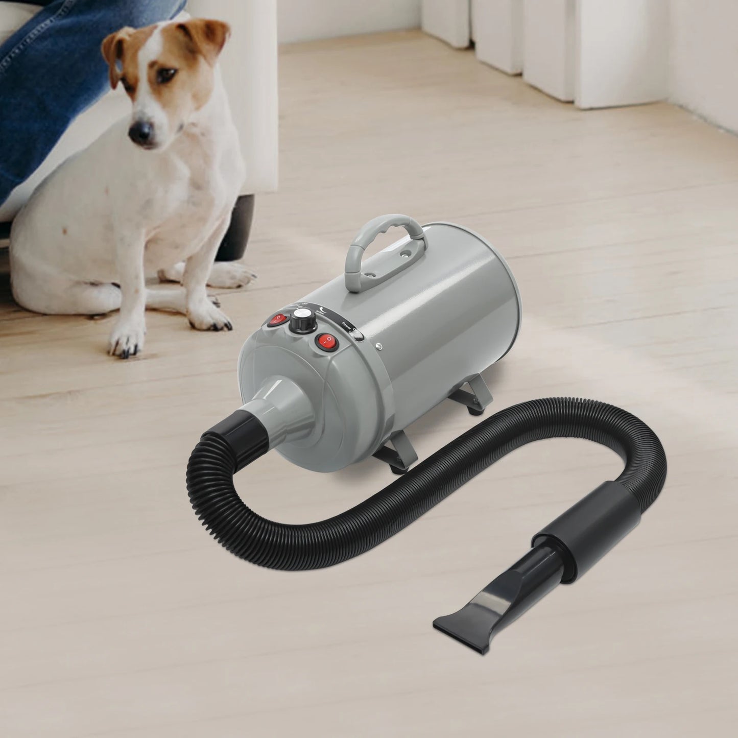 Dog Electric, Adjustable Wind, Two Temperatures, 4 Nozzles, Hair Dryer/Blower