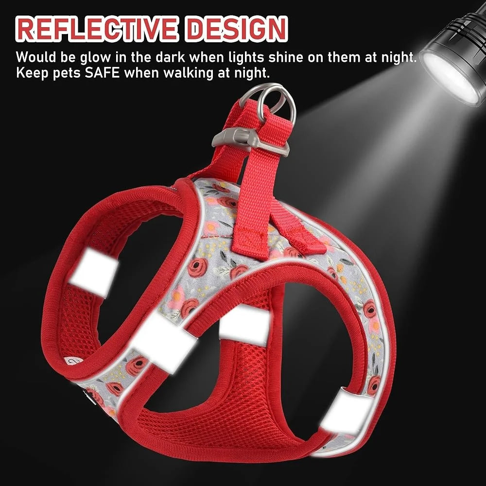 Adjustable Dog Harness Collar Leash Set for Small dog, soft