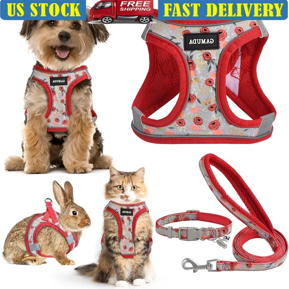 Adjustable Dog Harness Collar Leash Set for Small dog, soft