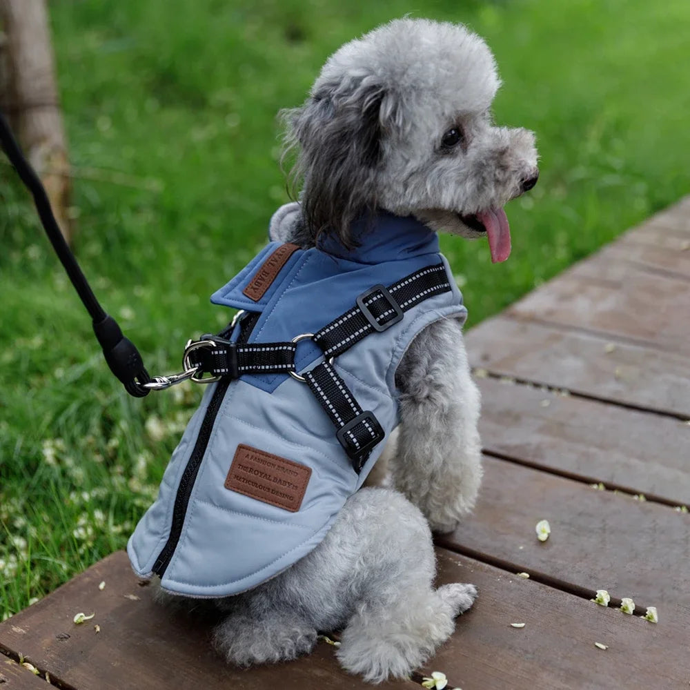 Winter Warm, Harness Dog Jacket/Vest and Leash Set