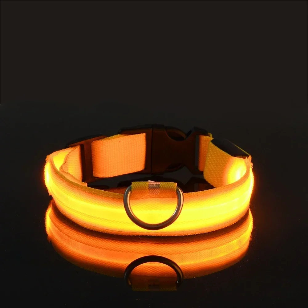 Flashing Glow In The Dark LED Dog Collar Nylon