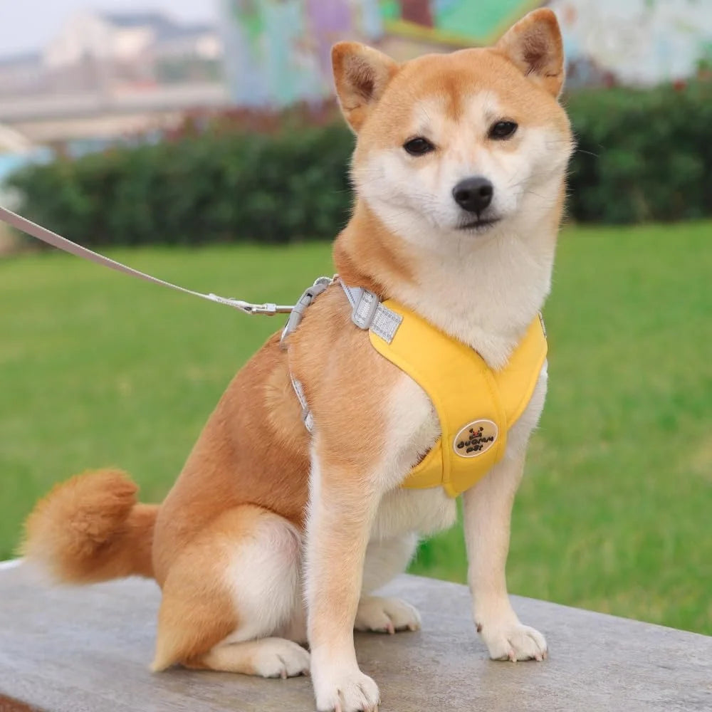 No Pull Adjustable Dog Harness with Vest and Leash Set