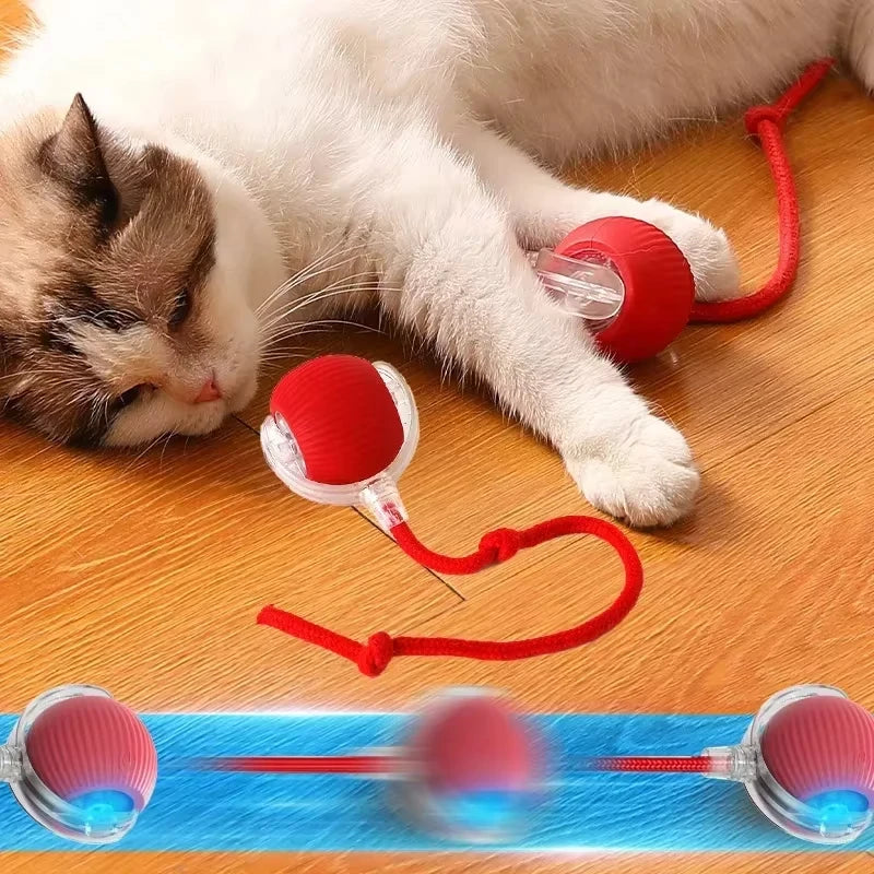 Automatic Rolling Ball. Rechargeable, Interactive Plush Dog Toy