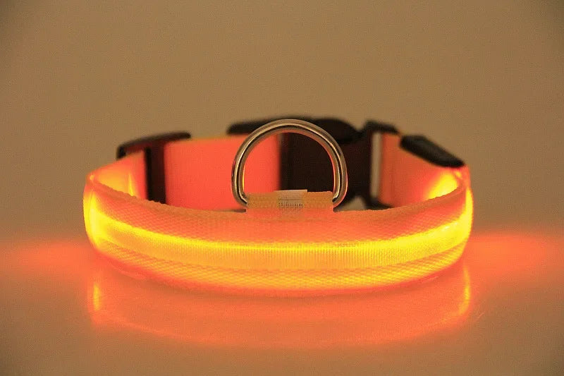Flashing Glow In The Dark LED Dog Collar Nylon