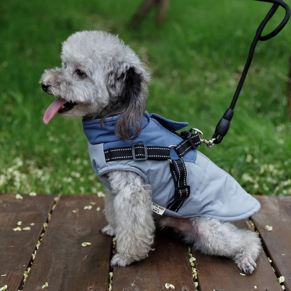 Winter Warm, Harness Dog Jacket/Vest and Leash Set