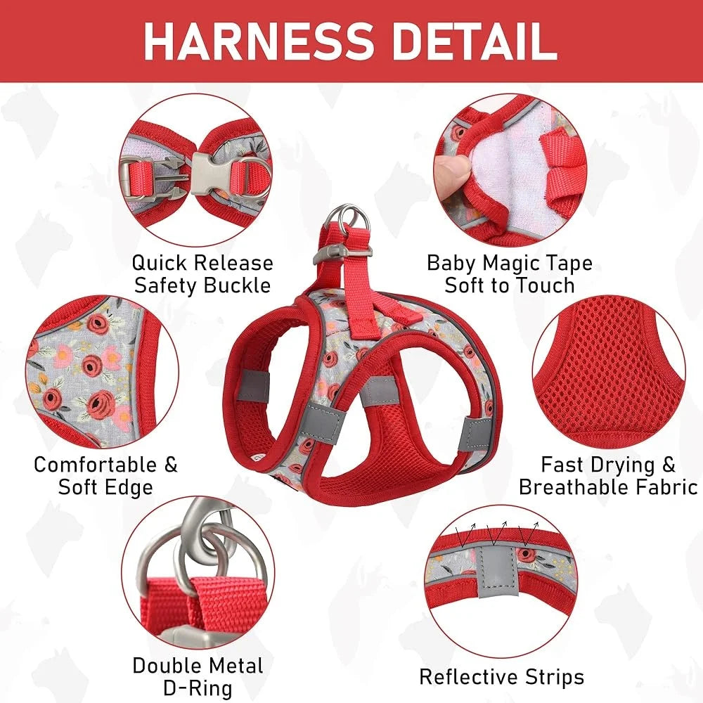 Adjustable Dog Harness Collar Leash Set for Small dog, soft