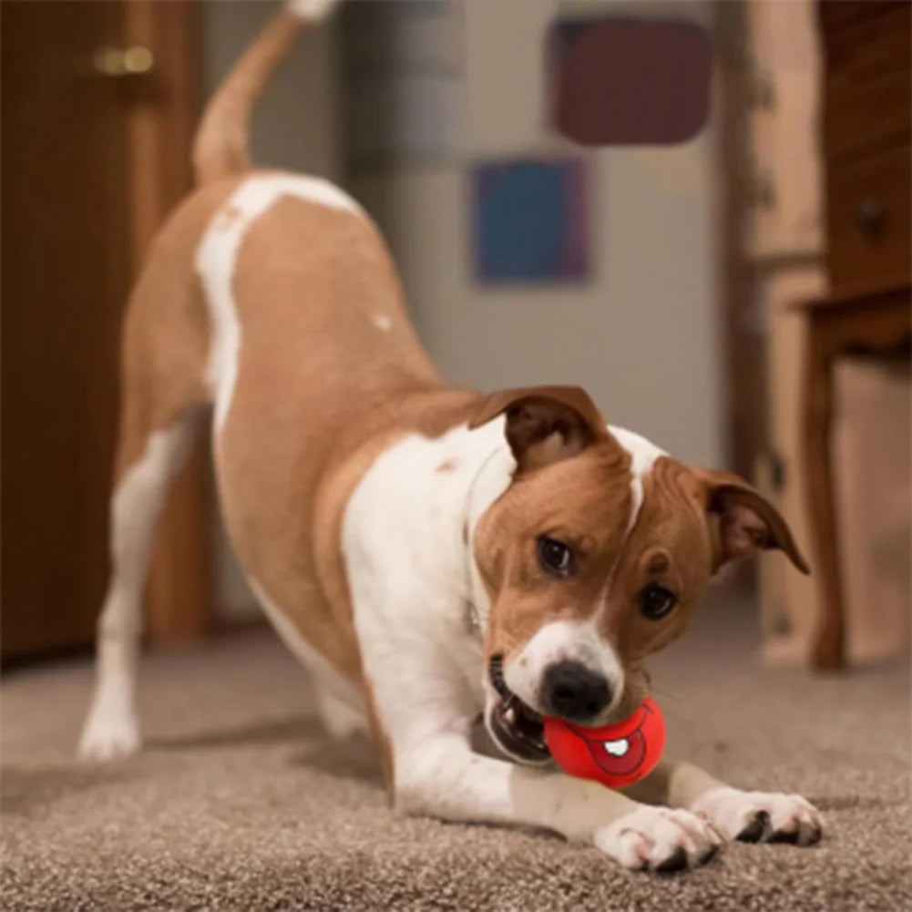 6Pcs Soft Latex, Bouncy, Smile Face Squeaky Dog Toy