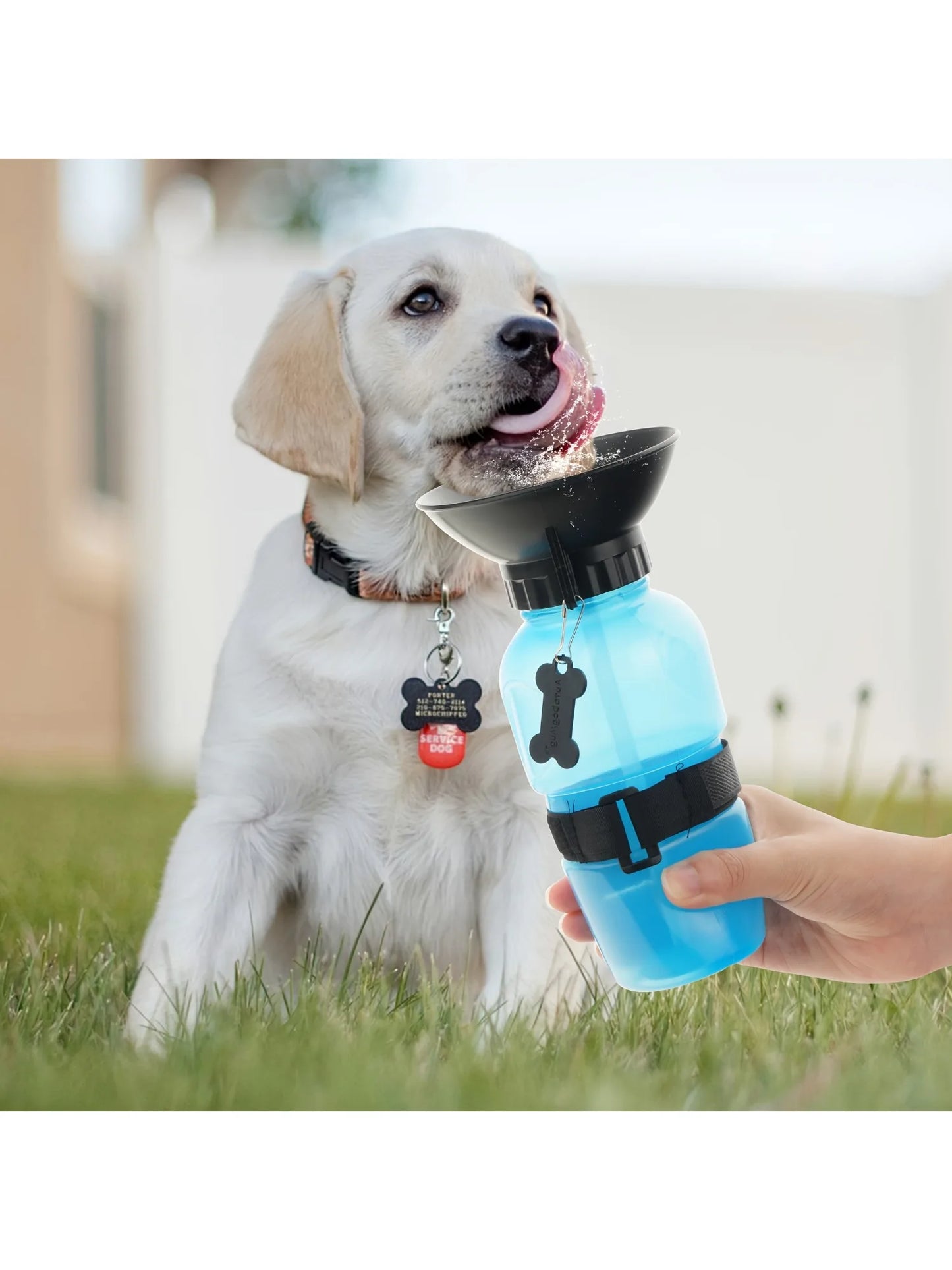 Dog Portable Travel Water Bottle Dispenser For Dogs