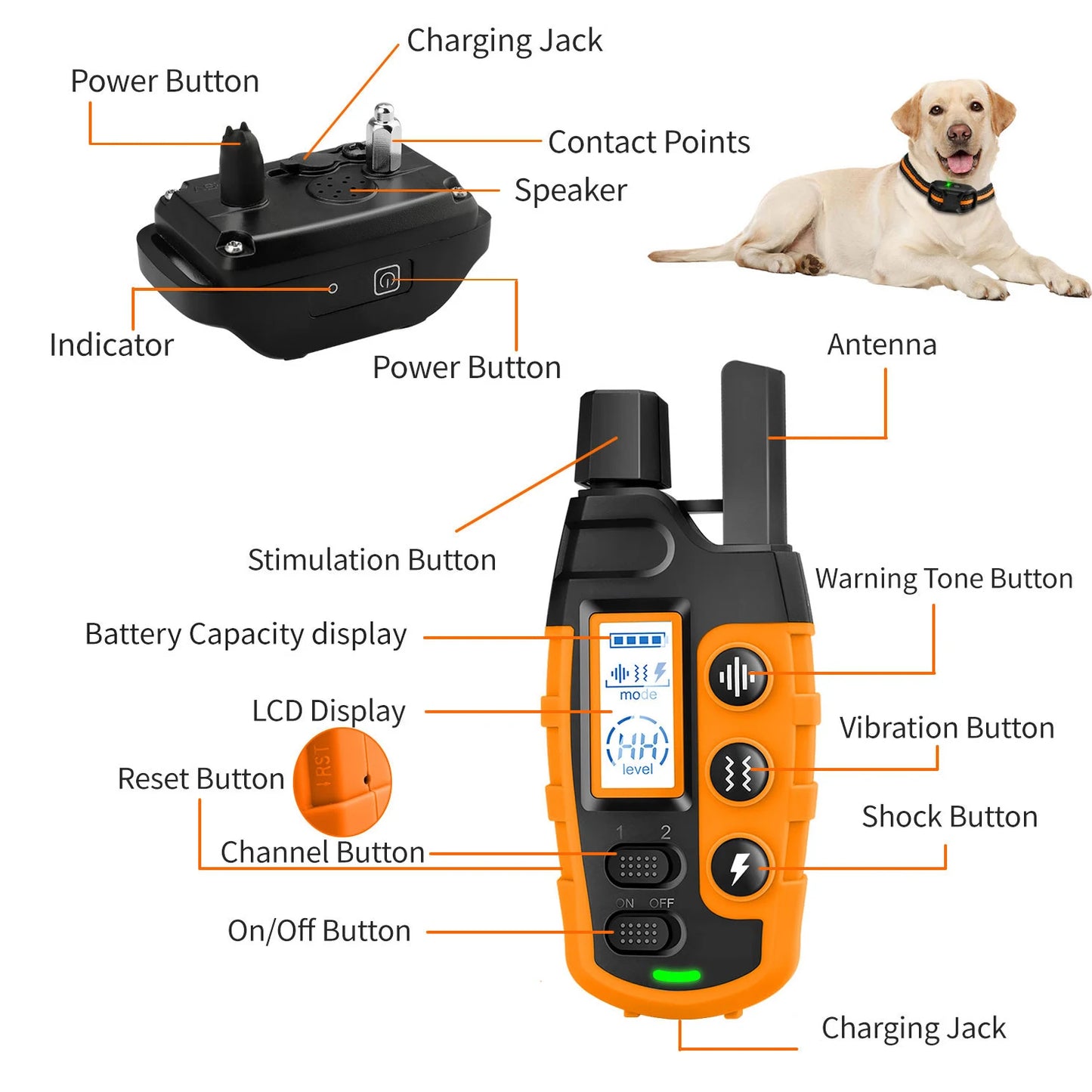 Electric Remote Control Dog Behavior Training Collar, Waterproof, Shock Vibration