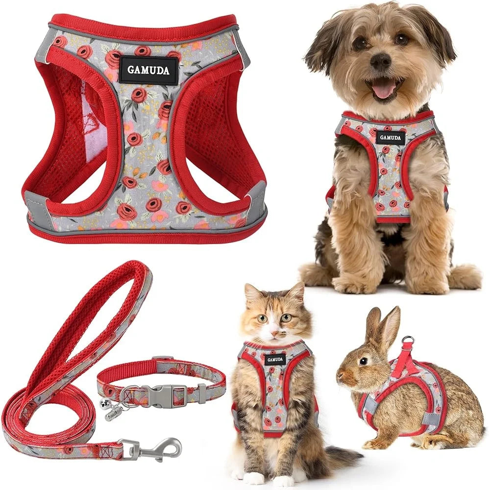Adjustable Dog Harness Collar Leash Set for Small dog, soft