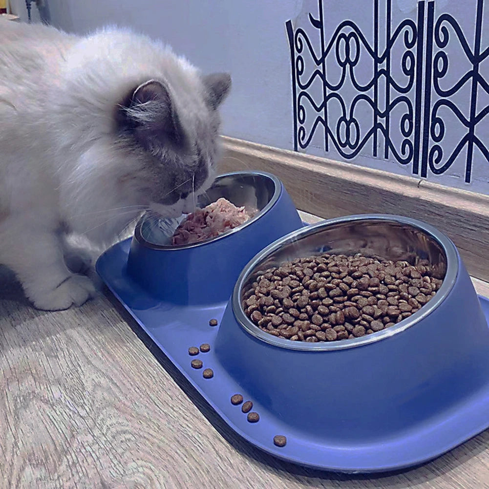 Non-slip Base Pet Water Feeder, Tilt Stainless Steel Dog Bowl