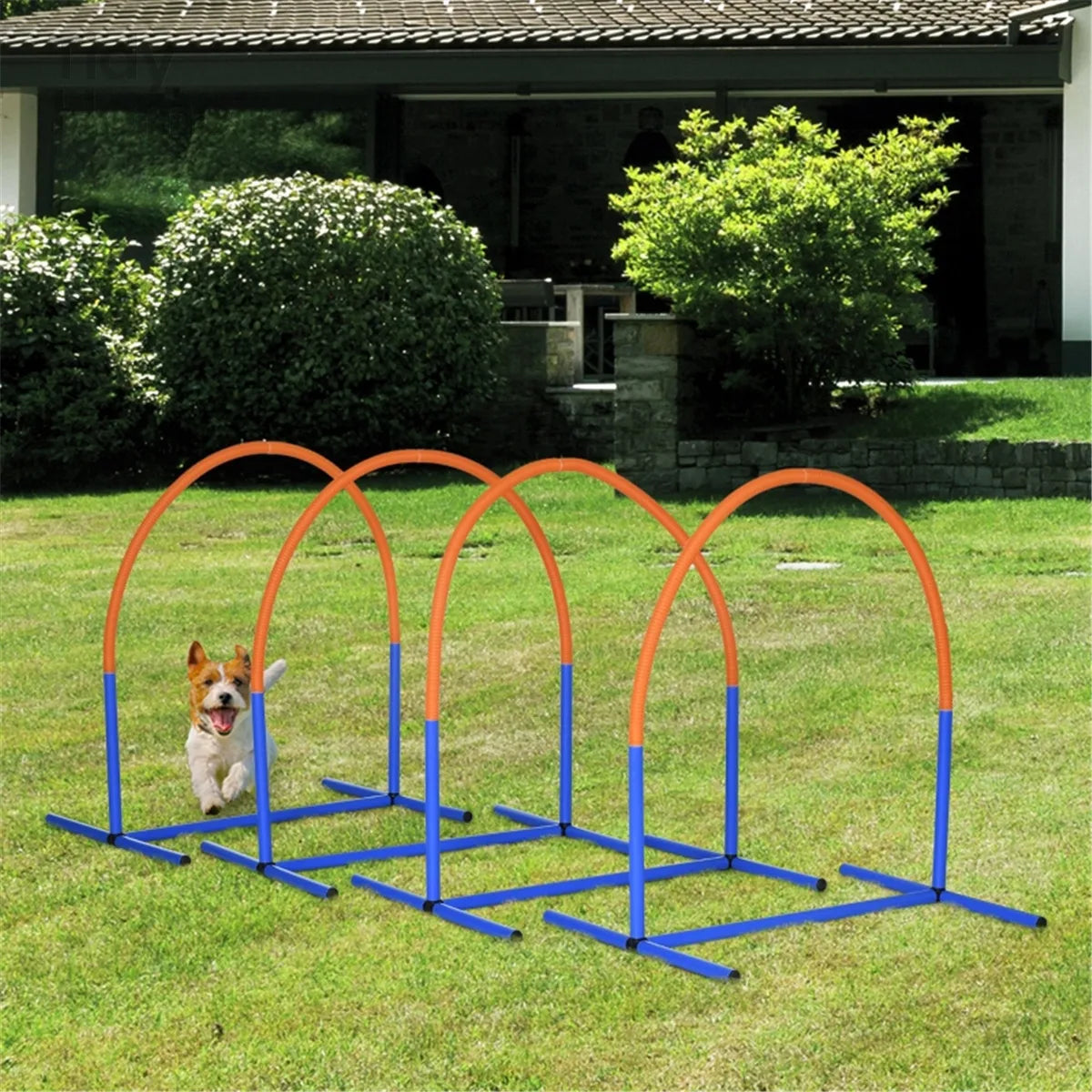 Dog Outdoor Agility Bows, Exercise Training Set for dog