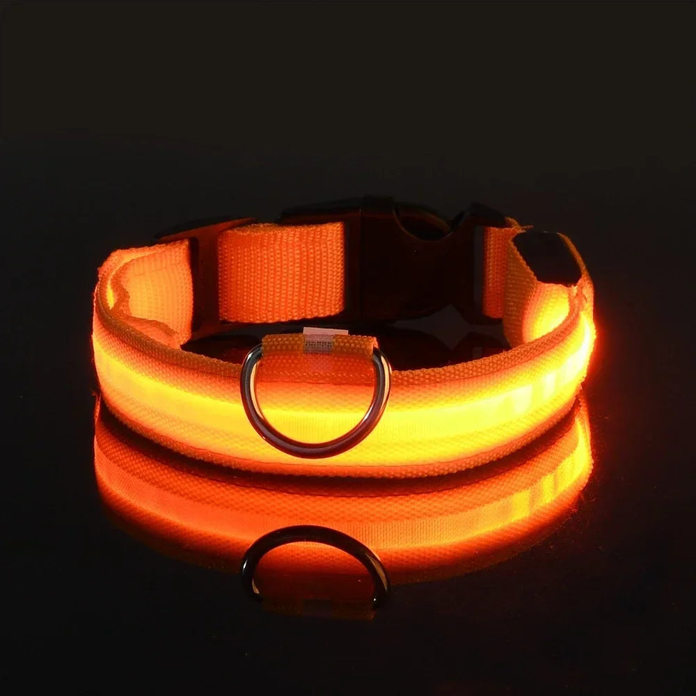Flashing Glow In The Dark LED Dog Collar Nylon