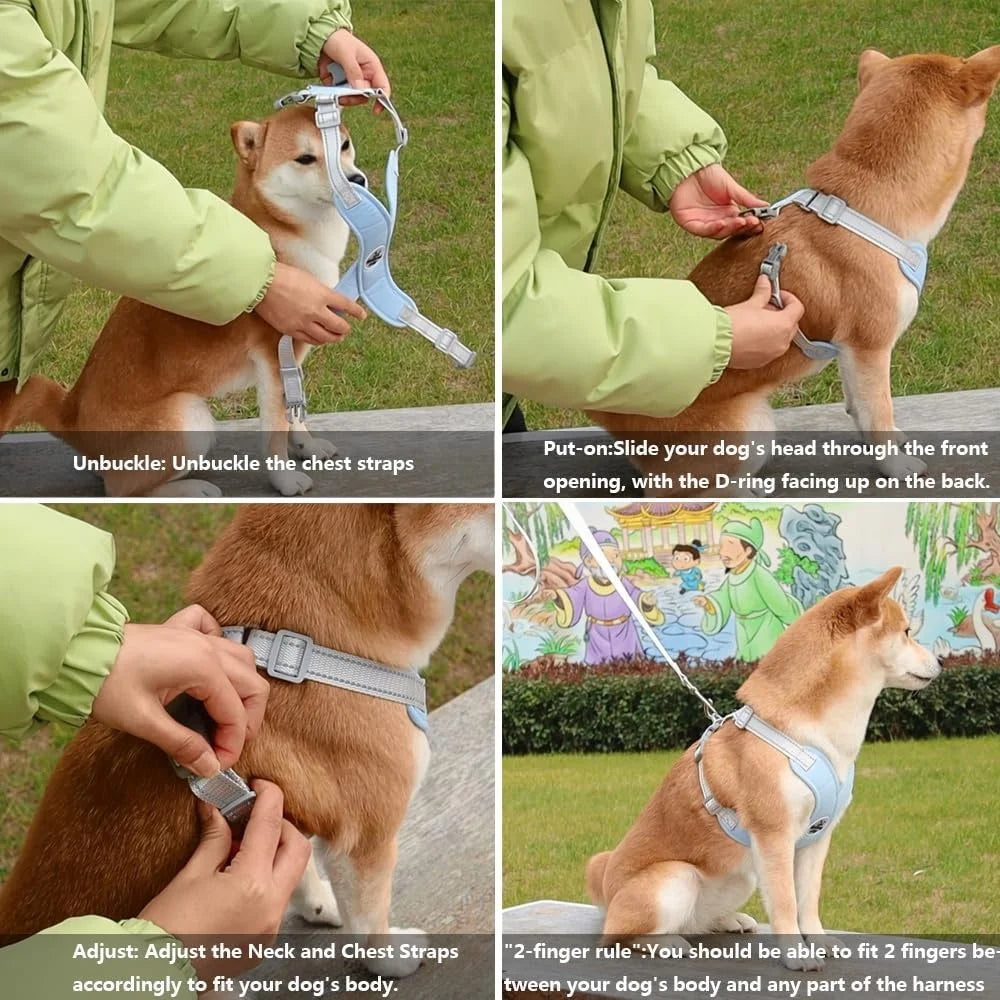 No Pull Adjustable Dog Harness with Vest and Leash Set