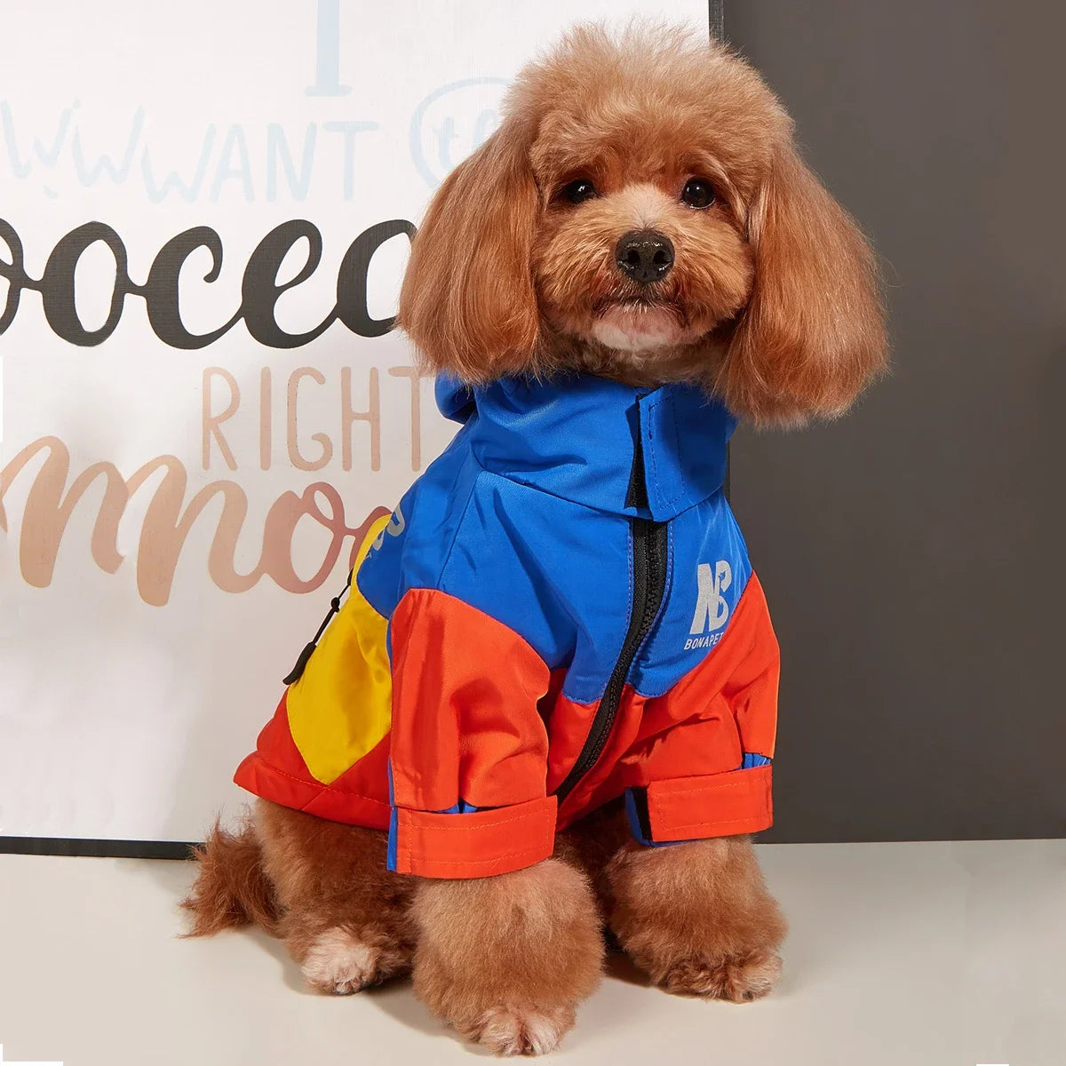 Winter Thickened Fleece Warm Waterproof Dog Raincoat/ Jacket