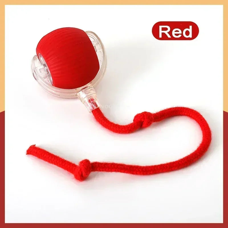 Automatic Rolling Ball. Rechargeable, Interactive Plush Dog Toy