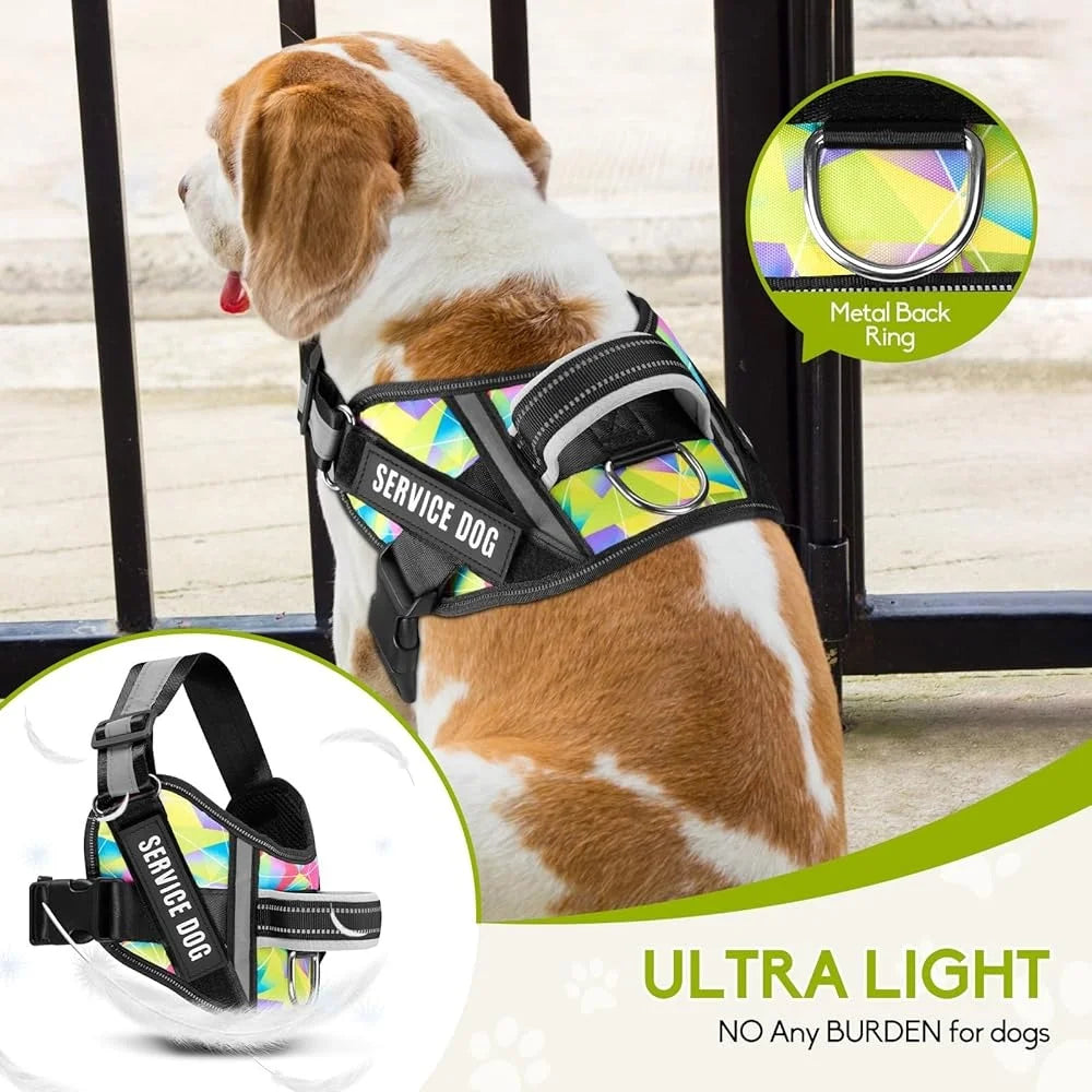 Service Dog Harness Leash Set Reflective No Pull, Training Durable Lightweight Vest
