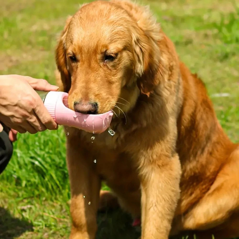 Portable Foldable Leak-Proof Dog Bowl for Travel, Hiking & Camping