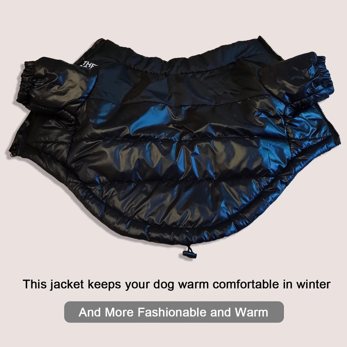 Reflective, Winter, Warm, Windproof, Jacket Dog Clothes