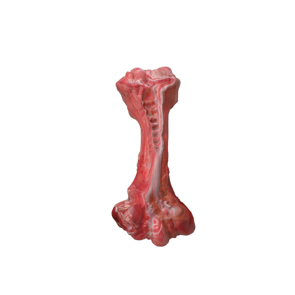 Aggressive Chewers, Bone-Shaped, Indestructible Nylon for Large Dogs