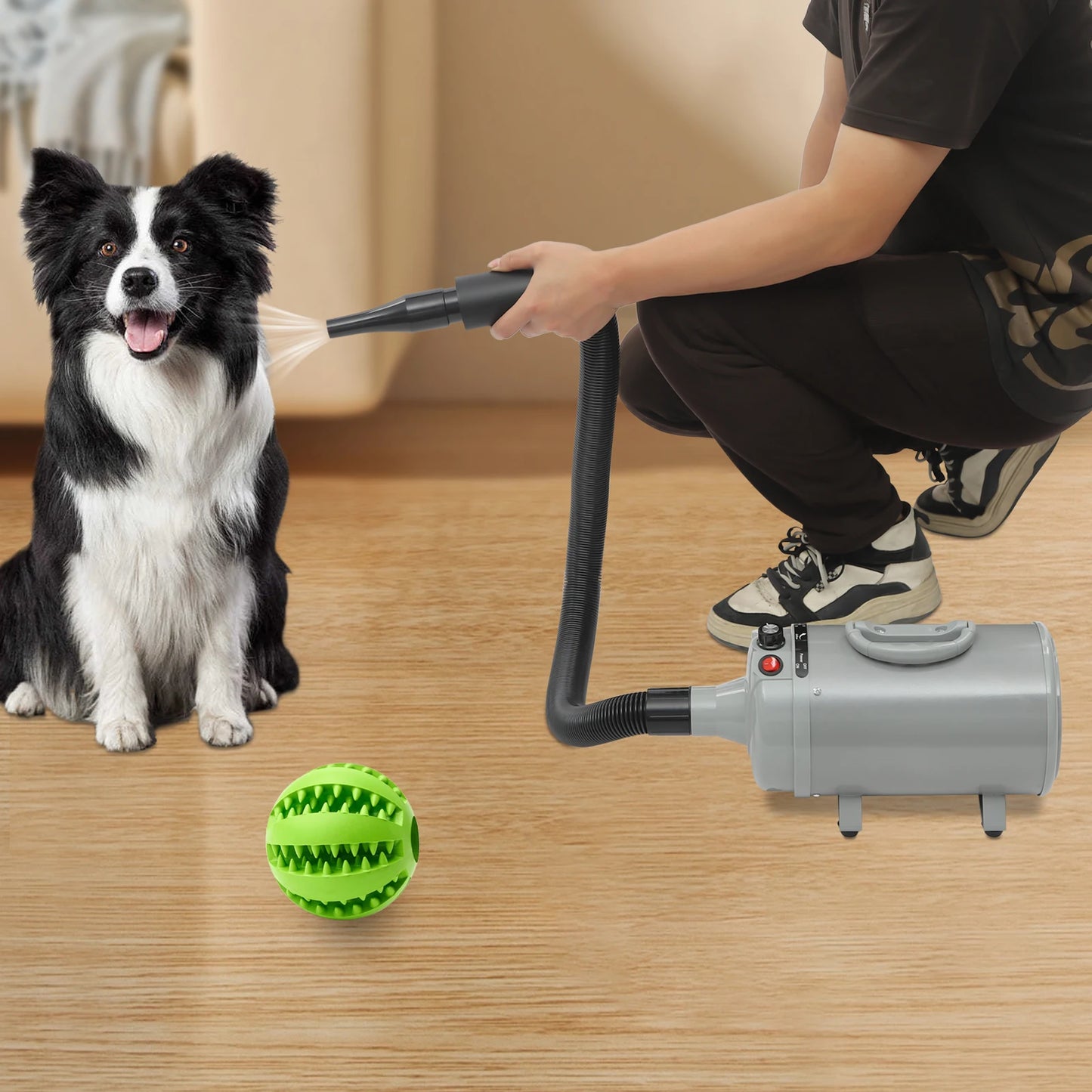 Dog Electric, Adjustable Wind, Two Temperatures, 4 Nozzles, Hair Dryer/Blower