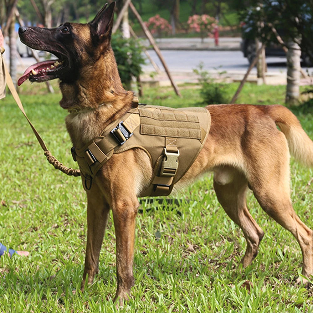 Large Dog Harness Leash Set Training Walking Vest, Harness & Collar For Medium Large Dogs