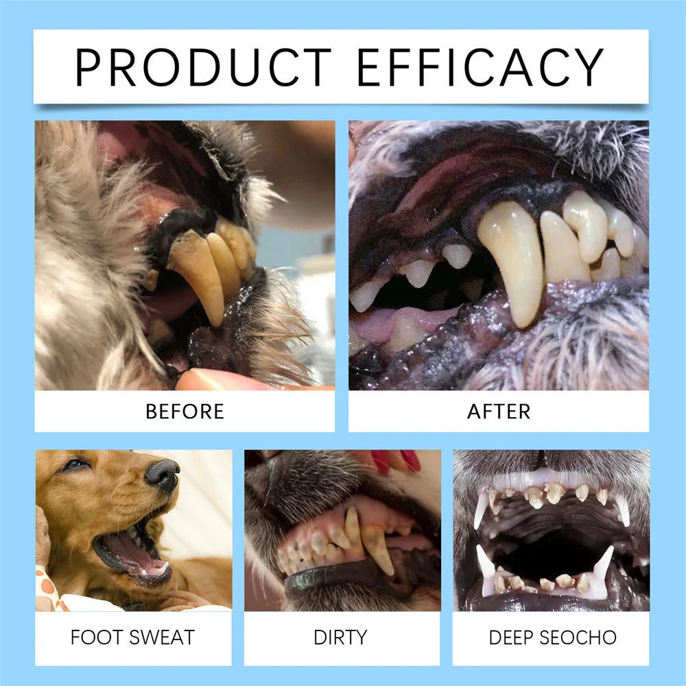 Dogs Teeth Cleaning Pen-Toothbrush Clean Kit Tartar/Stains Remover