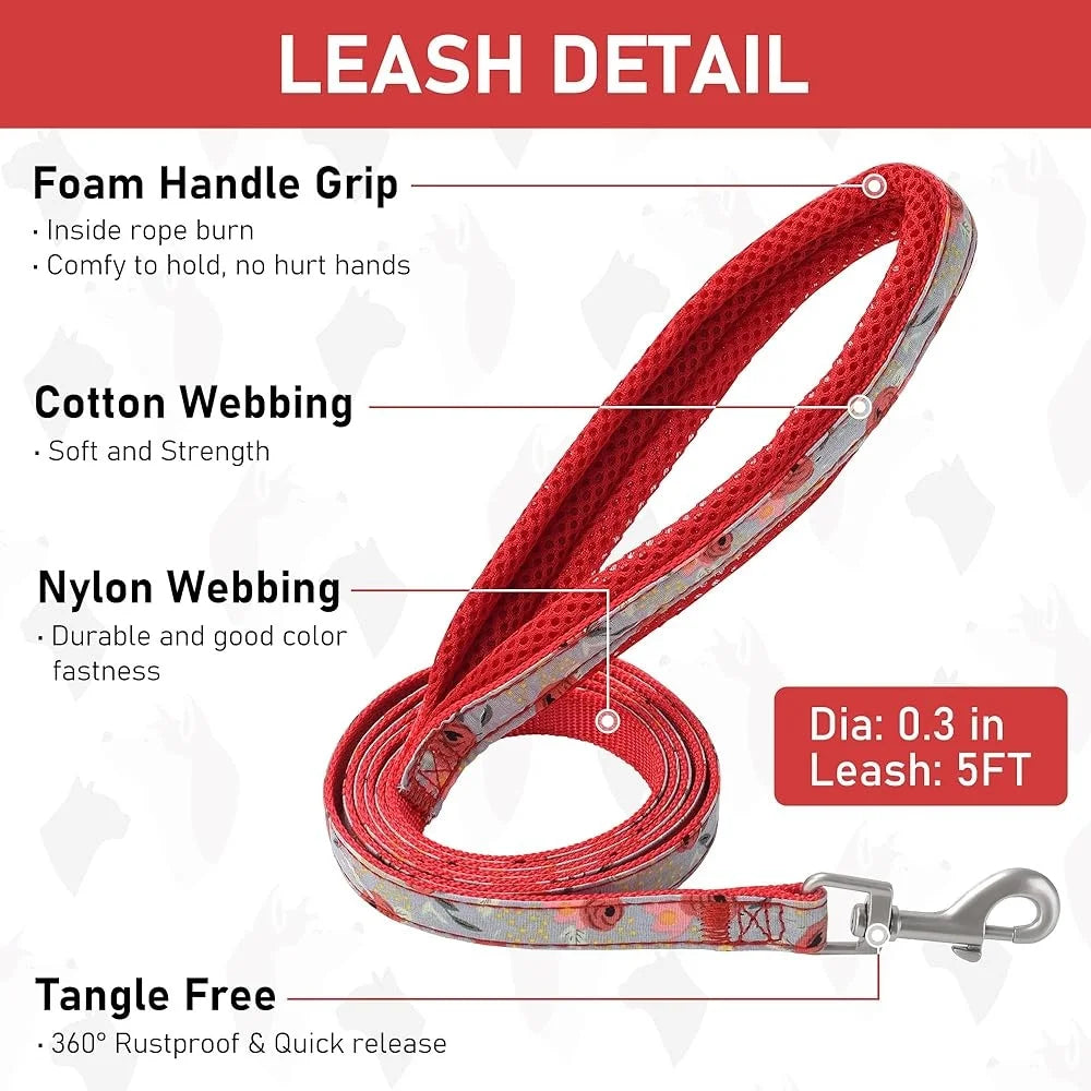 Adjustable Dog Harness Collar Leash Set for Small dog, soft