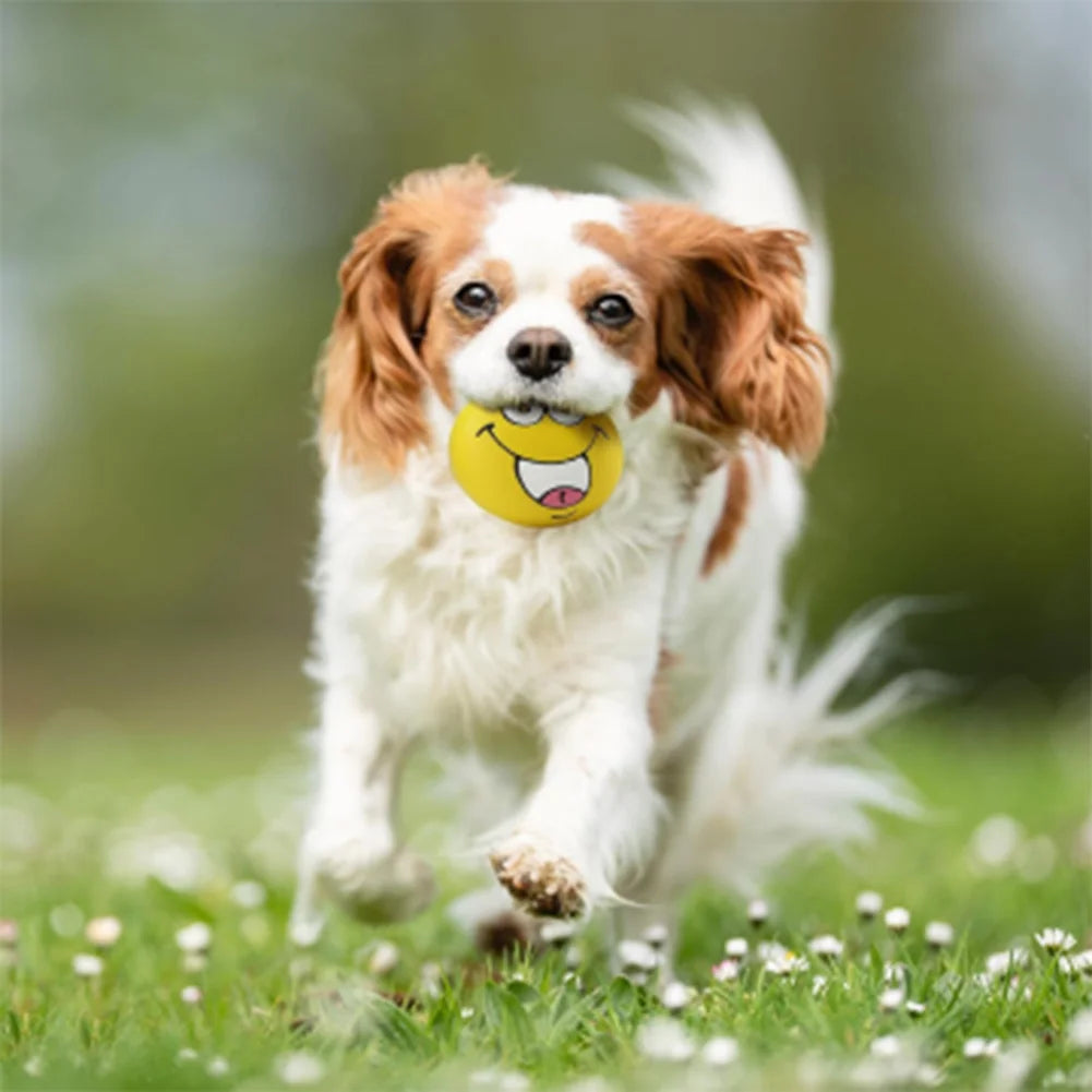 6Pcs Soft Latex, Bouncy, Smile Face Squeaky Dog Toy