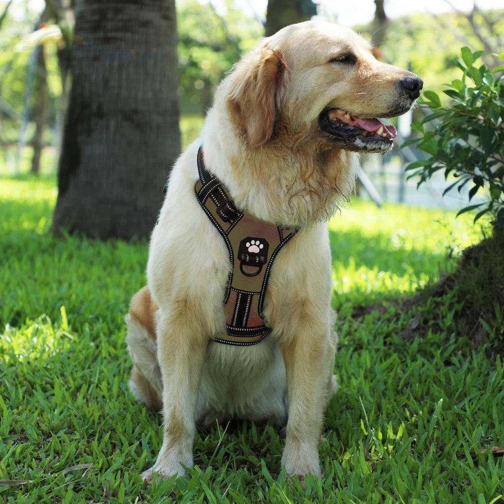 Dog Nylon Adjustable Reflective Dog Vest, No Pull, 2 Metal Leash Hooks, Easy Control