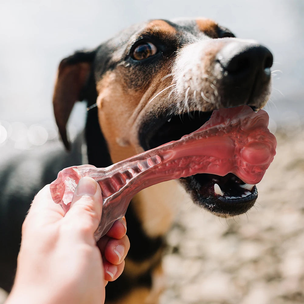 Aggressive Chewers, Bone-Shaped, Indestructible Nylon for Large Dogs