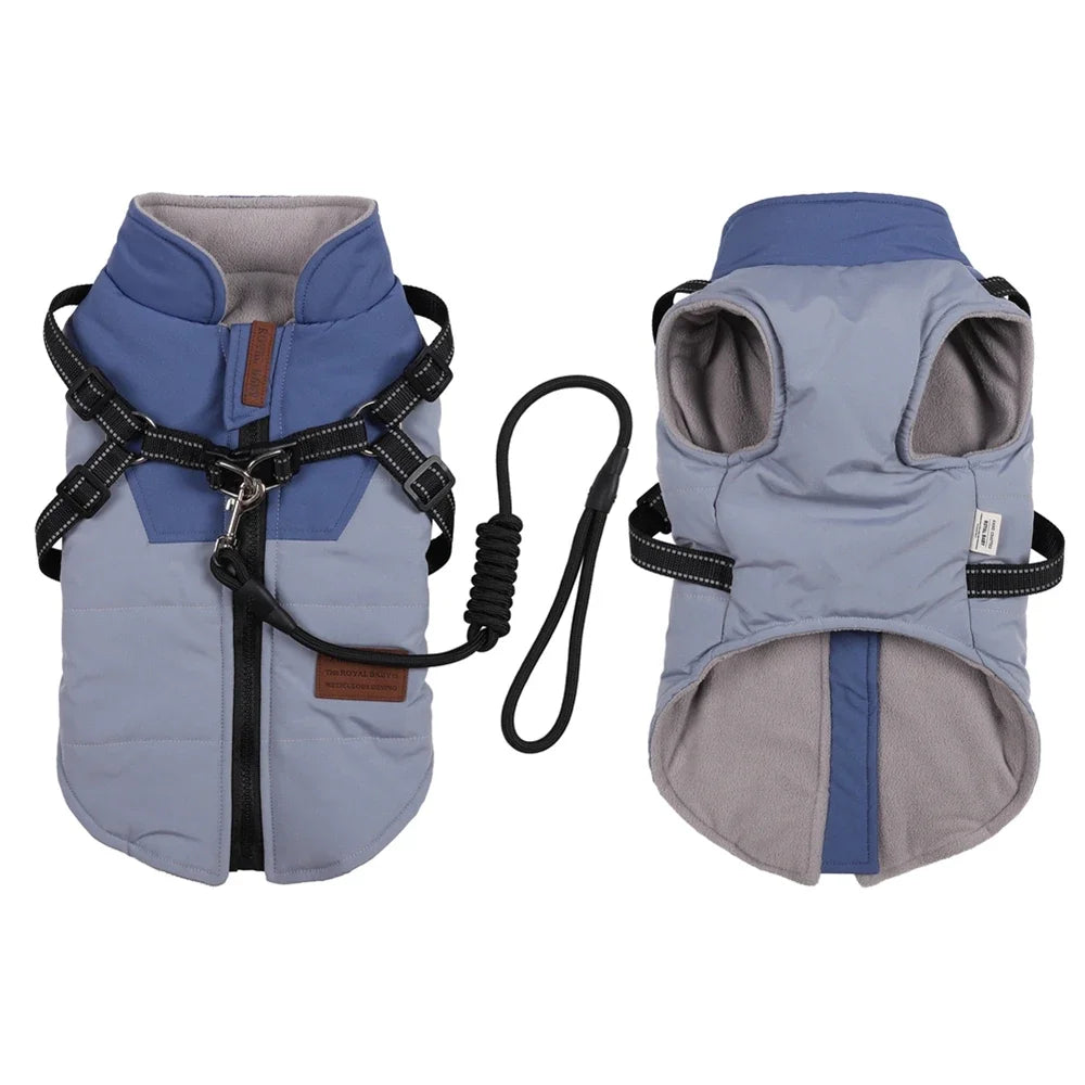 Winter Warm, Harness Dog Jacket/Vest and Leash Set