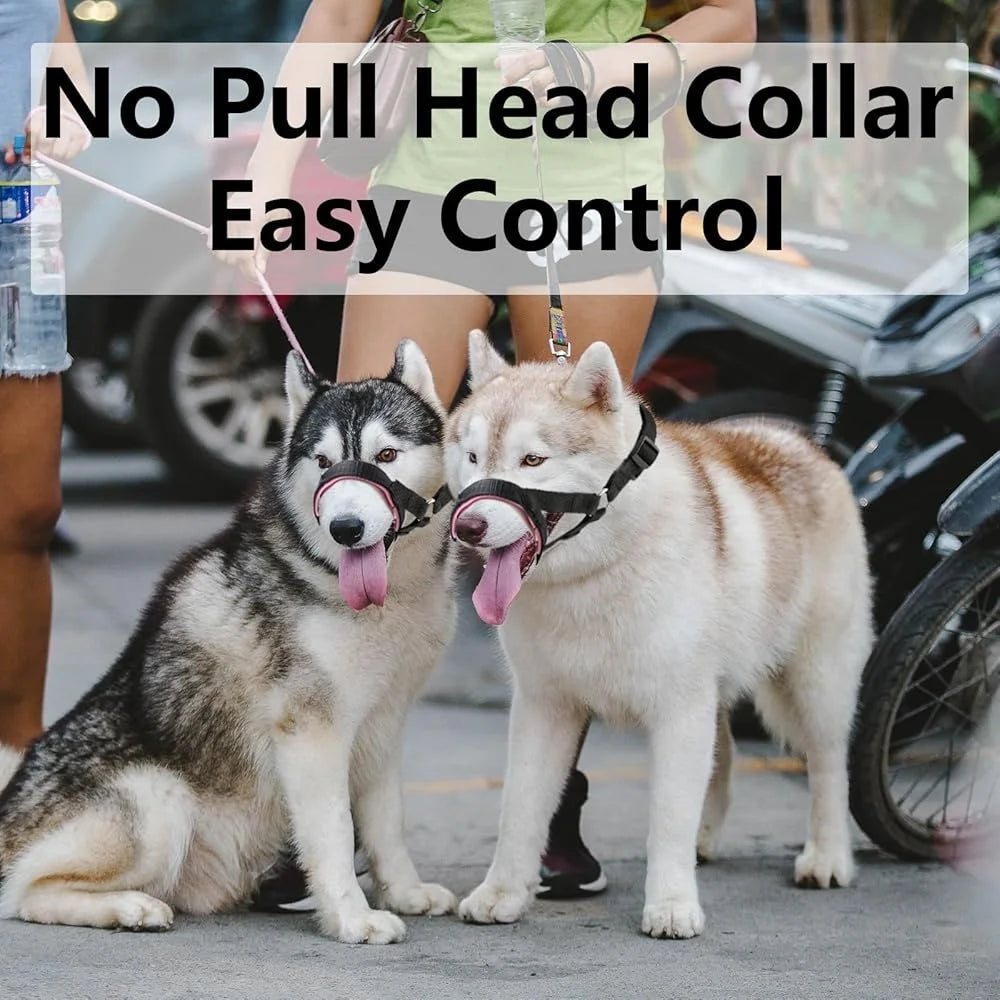 Dog Padded Durable Nylon Strap Better Control, Adjustable No Pull Harness/Head Collar