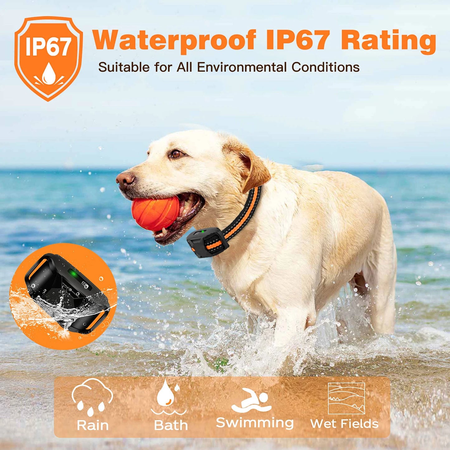 Electric Remote Control Dog Behavior Training Collar, Waterproof, Shock Vibration