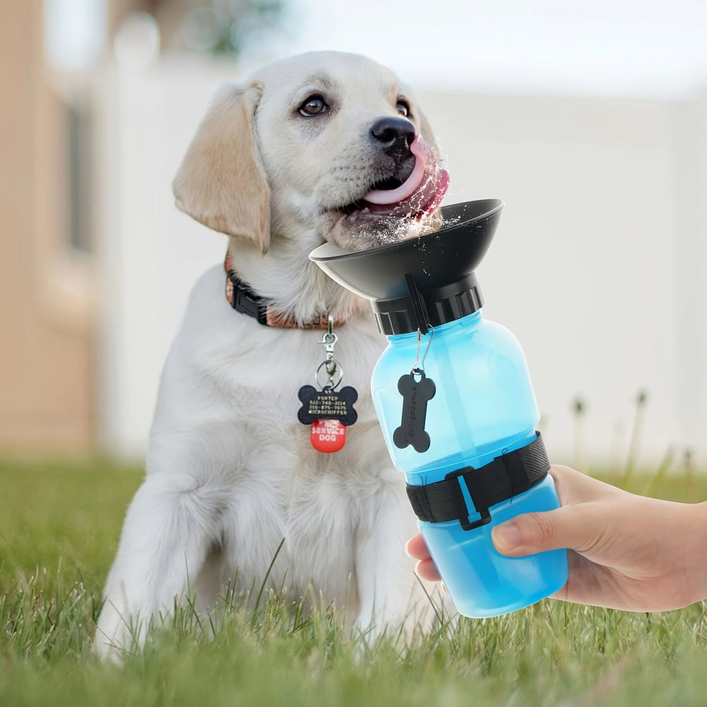 Dog Portable Travel Water Bottle Dispenser For Dogs