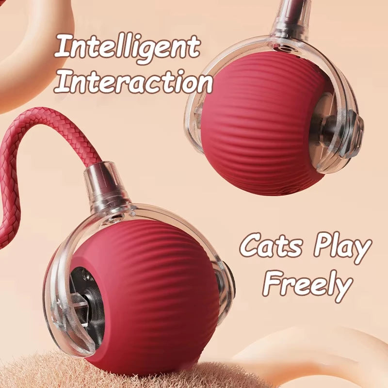 Automatic Rolling Ball. Rechargeable, Interactive Plush Dog Toy