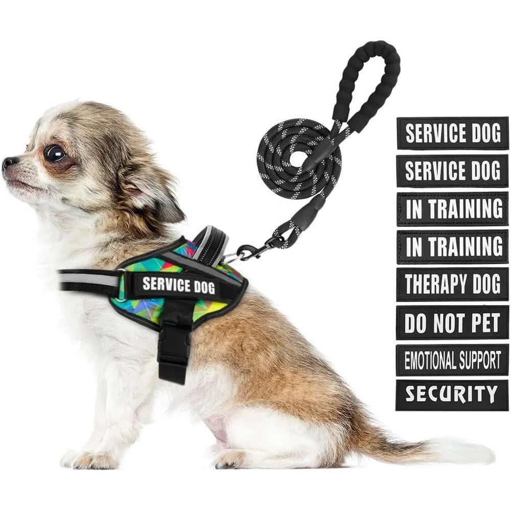 Service Dog Harness Leash Set Reflective No Pull, Training Durable Lightweight Vest