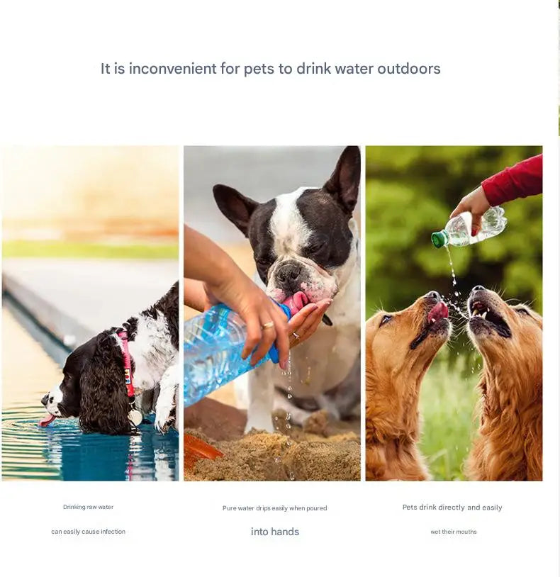 BPA-Free, Leakproof Lightweight, Travel for Hiking, Camping, Dog Pet Dish