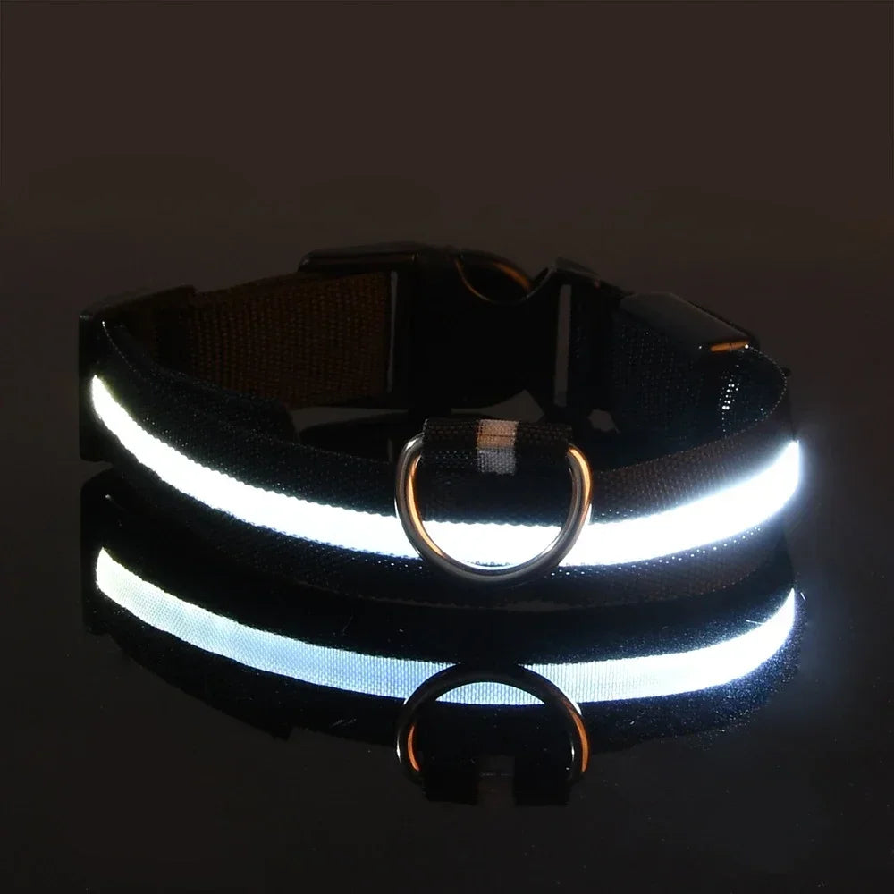 Flashing Glow In The Dark LED Dog Collar Nylon