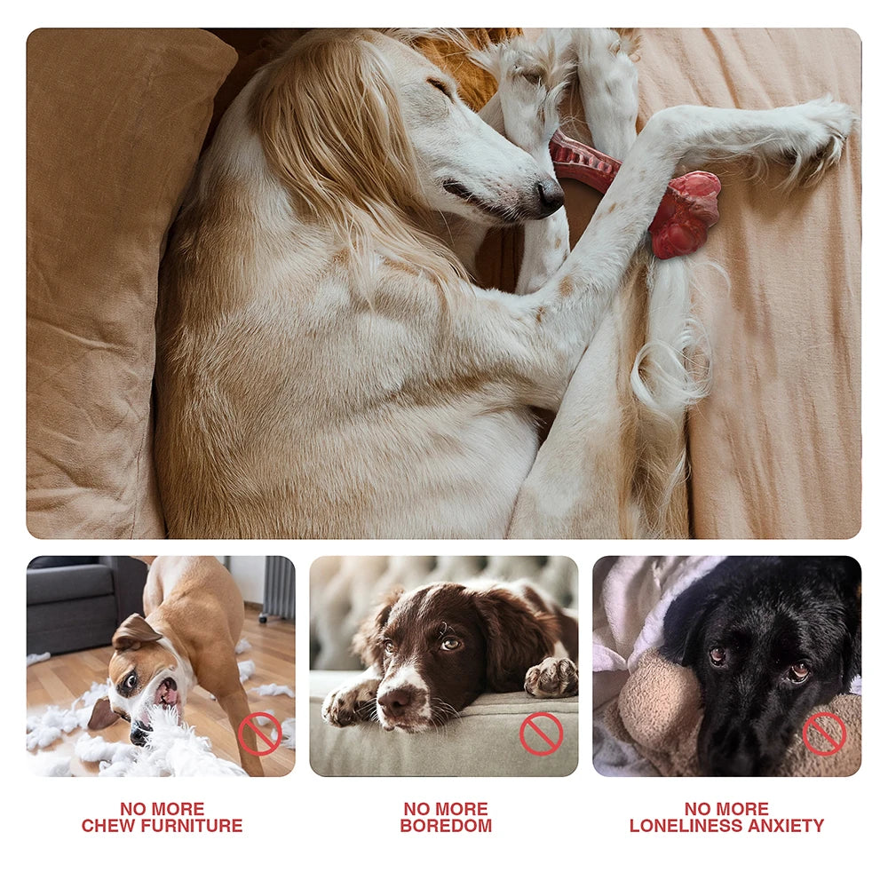 Aggressive Chewers, Bone-Shaped, Indestructible Nylon for Large Dogs