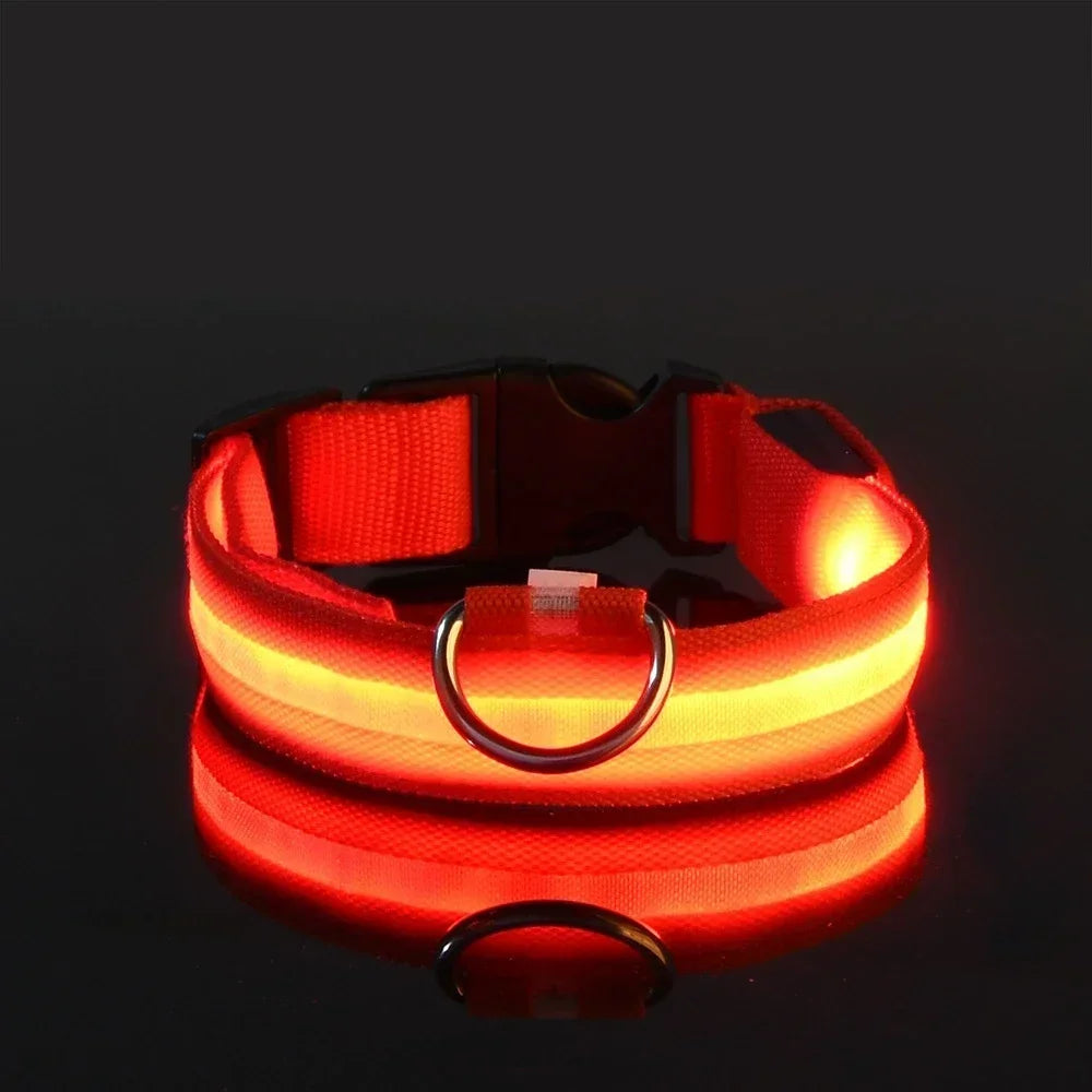 Flashing Glow In The Dark LED Dog Collar Nylon