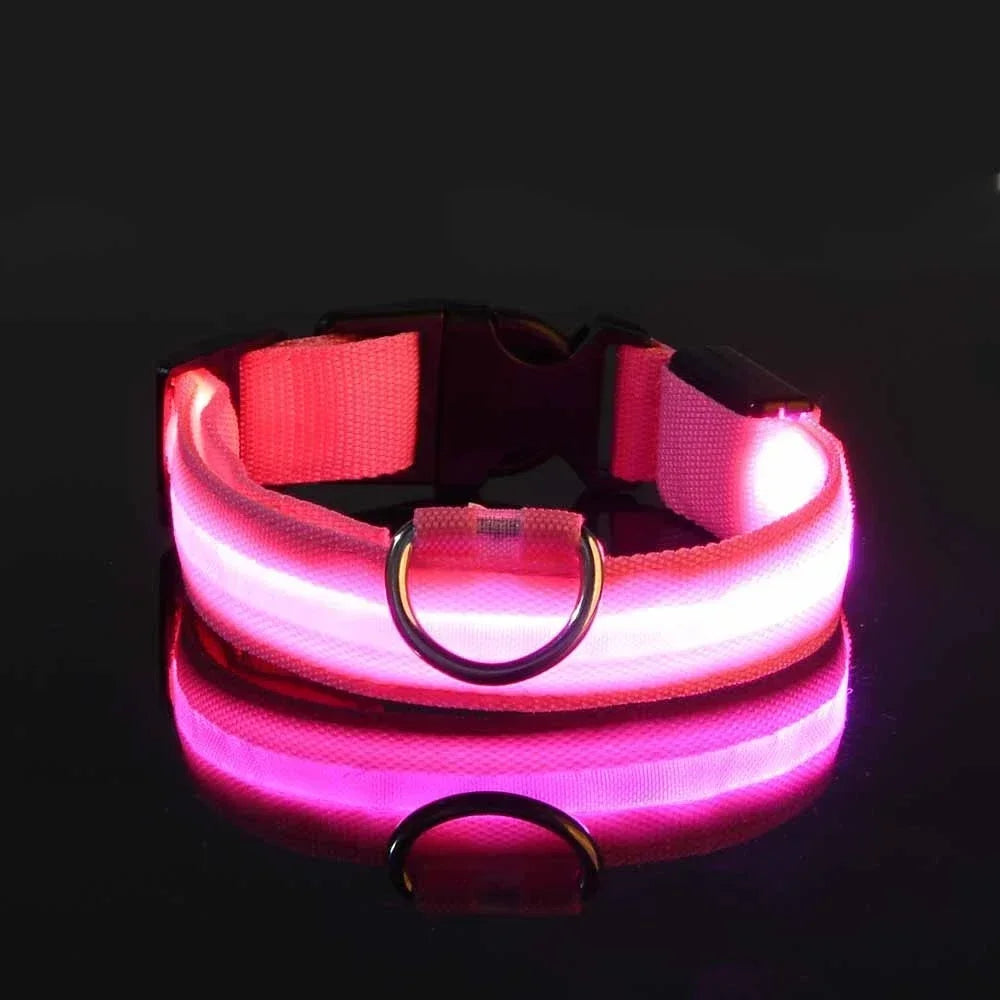 Flashing Glow In The Dark LED Dog Collar Nylon