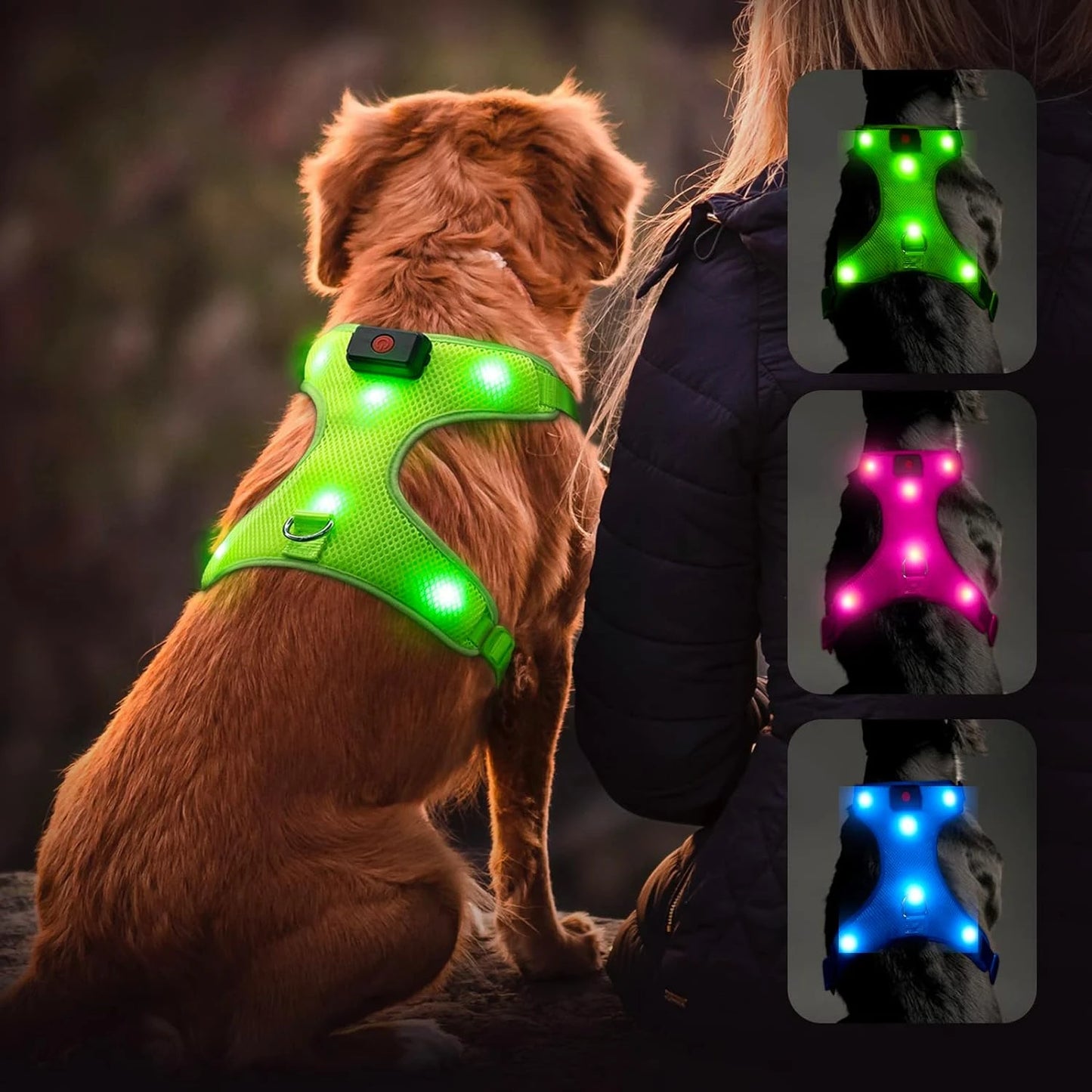 Glowing LED Adjustable Dog Harness