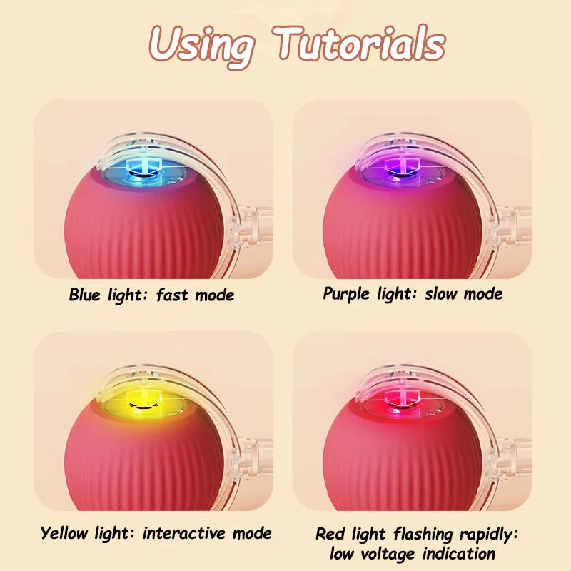 Automatic Rolling Ball. Rechargeable, Interactive Plush Dog Toy