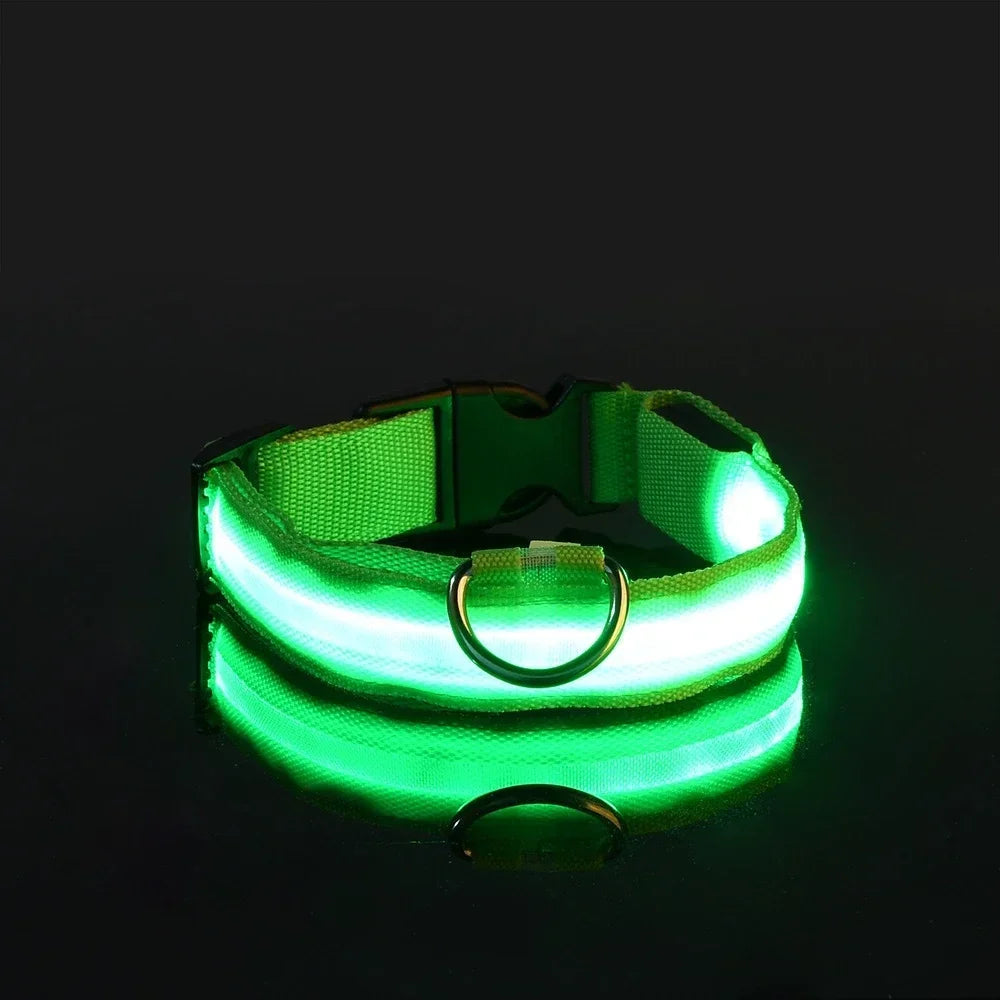 Flashing Glow In The Dark LED Dog Collar Nylon